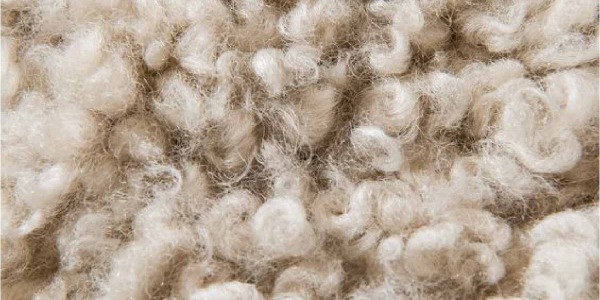 Why wool can be worn 10 months a year?